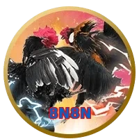 8N8N