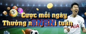8N8N